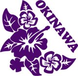 ハイビスカス沖縄05
