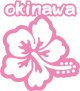 ハイビスカス沖縄06