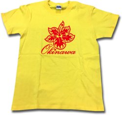 画像1: ハイビスカスOKINAWA02 Tシャツ