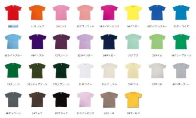 画像2: OKINAWAヤールー(ヤモリ) Tシャツ